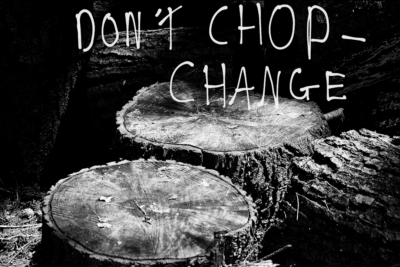 Don't Chop Change (by Mark, Year 6, Sacred Heart RC Teaching School, Bolton) [artwork]