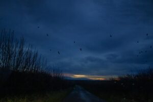 Eskdale Young Creatives
