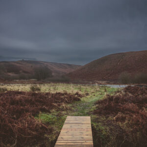Creating Connections: Platforming Whitby Student Voices [photograph]