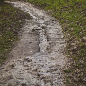 Creating Connections: Platforming Whitby Student Voices [photograph]