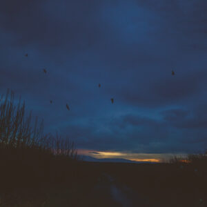 Creating Connections: Platforming Whitby Student Voices [photograph]
